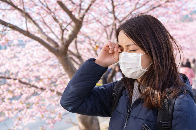 봄 알레르기